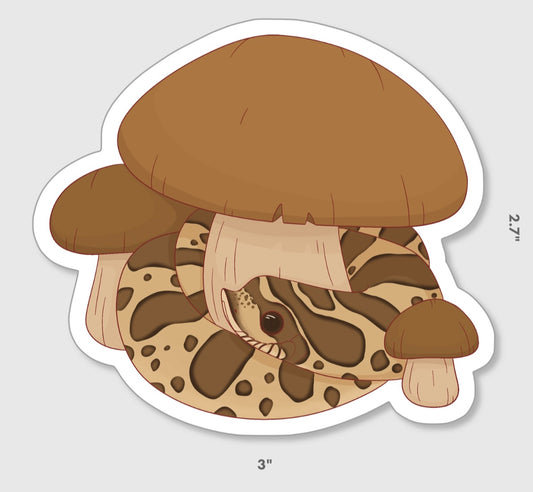 Mushroom Hognose Sticker